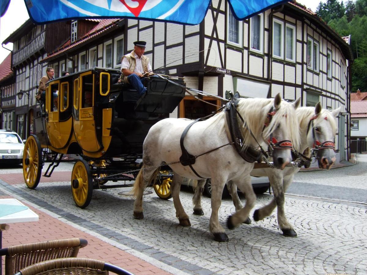 Alter Kornspeicher Ermsleben Esterno foto