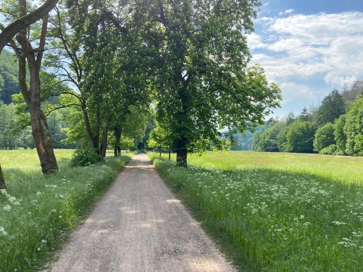 Alter Kornspeicher Ermsleben Esterno foto